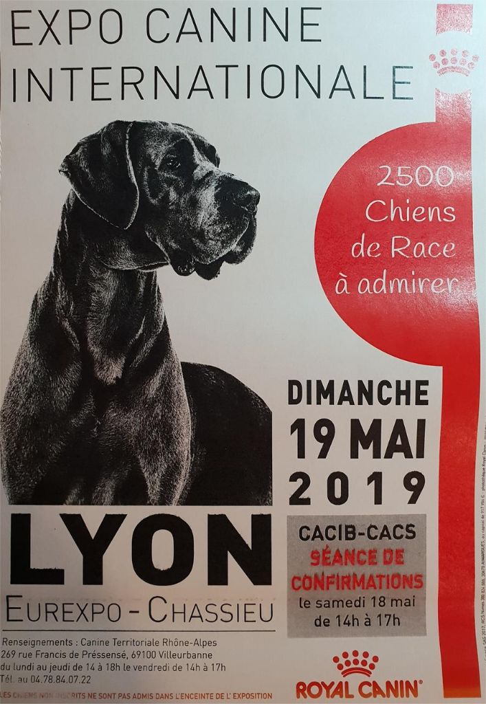 Du Vieux Rhin - Exposition canine du 19 mai 2019 à Lyon