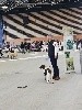  - Exposition canine de Lyon