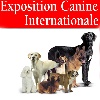  - Exposition canine de Colmar du 5 avril 2014.