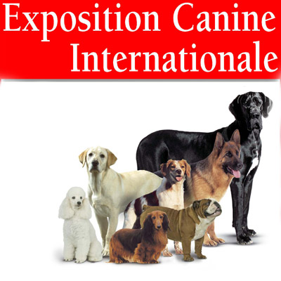 Du Vieux Rhin - Exposition canine de Colmar du 5 avril 2014.