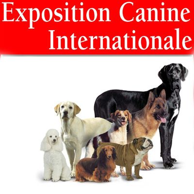 Du Vieux Rhin - Exposition canine du 6 avril 2019 à Colmar