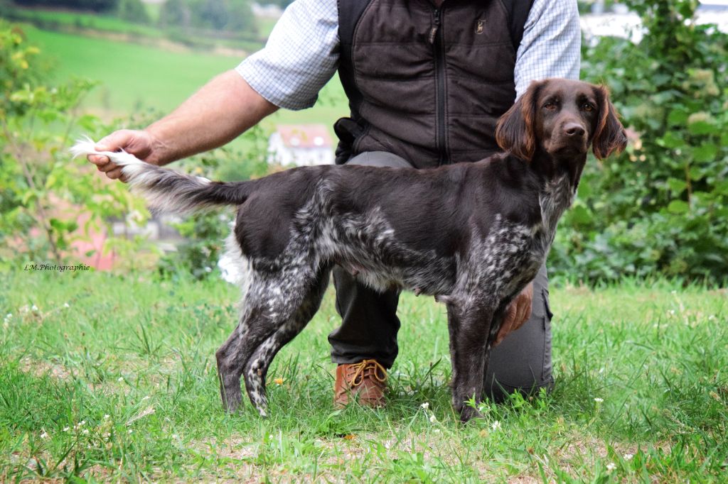 Passion Du Vieux Rhin