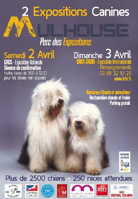 Du Vieux Rhin - Exposition canine de Mulhouse