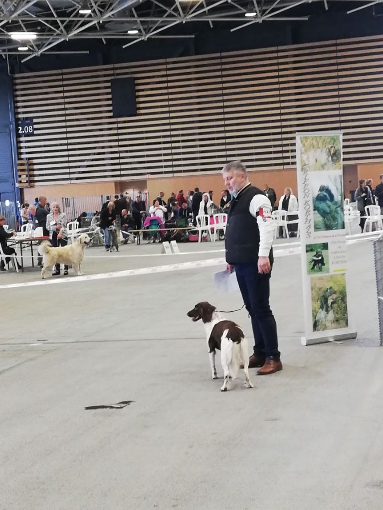 Du Vieux Rhin - Exposition canine de Lyon