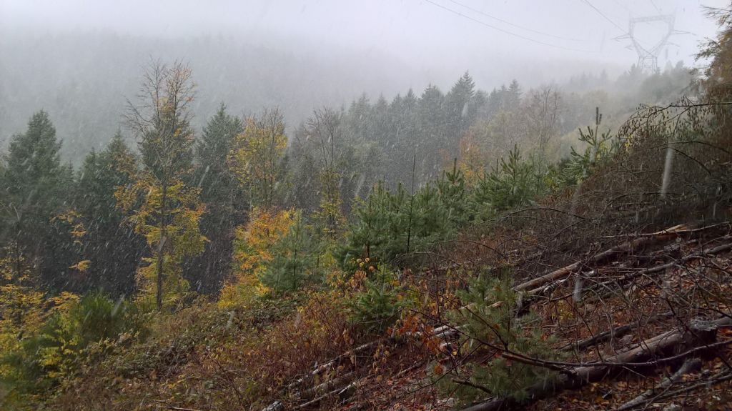 Du Vieux Rhin - Enfin une vraie météo !!