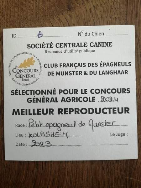 Du Vieux Rhin - Nationale d'élevage 2023